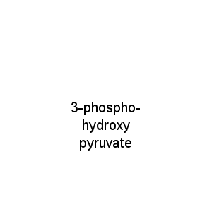 3-phospho-hydroxy pyruvate